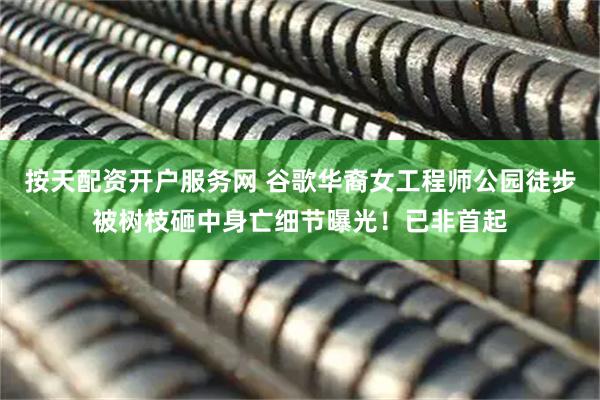 按天配资开户服务网 谷歌华裔女工程师公园徒步被树枝砸中身亡细节曝光！已非首起